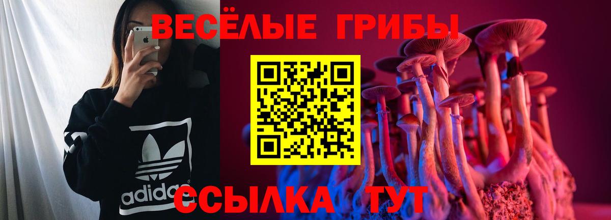 Псилоцибиновые грибы Psilocybine cubensis  Вход с VPN  Истра 